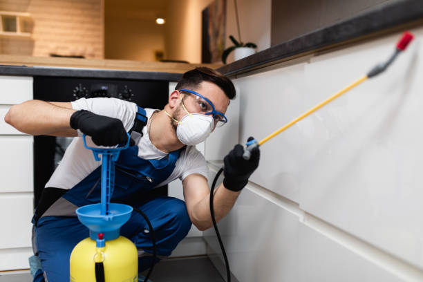 Best Pest Control Near Me  in Franklin Park, IL