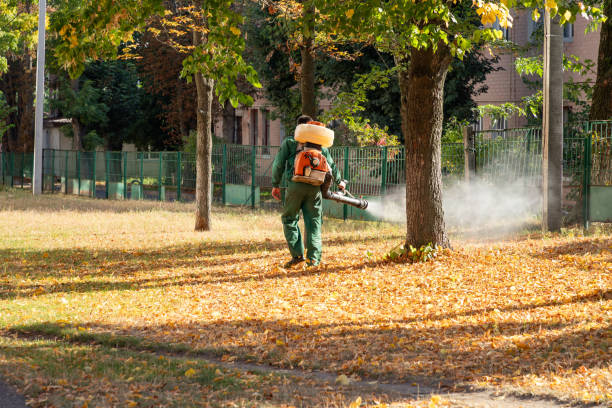 Best Local Pest Control Services  in Franklin Park, IL