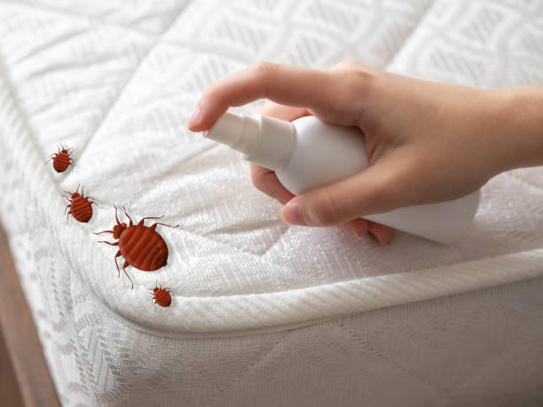 Best Pest Inspection Near Me  in Franklin Park, IL